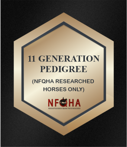 11 Generation Pedigree (NFQHA Researched Horses only)